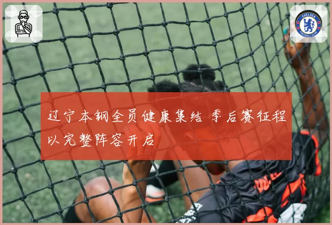 辽宁本钢全员健康集结 季后赛征程以完整阵容开启