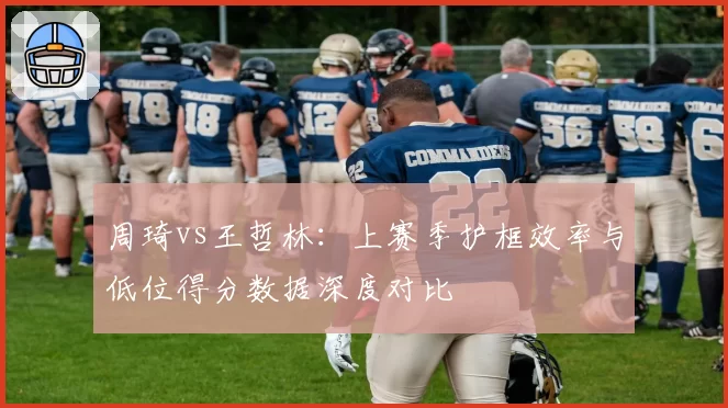 周琦vs王哲林:上赛季护框效率与低位得分数据深度对比