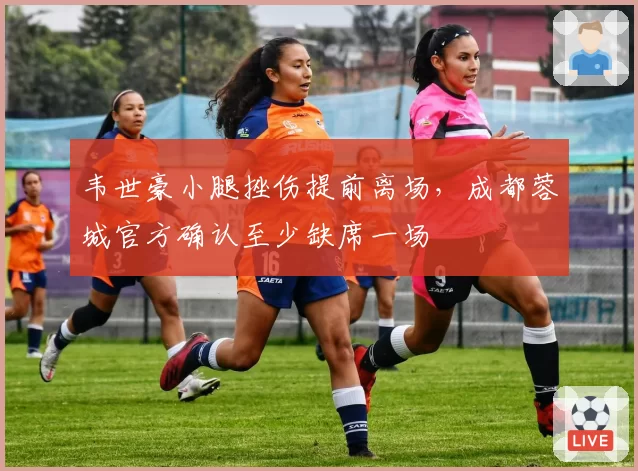 韦世豪小腿挫伤提前离场，成都蓉城官方确认至少缺席一场